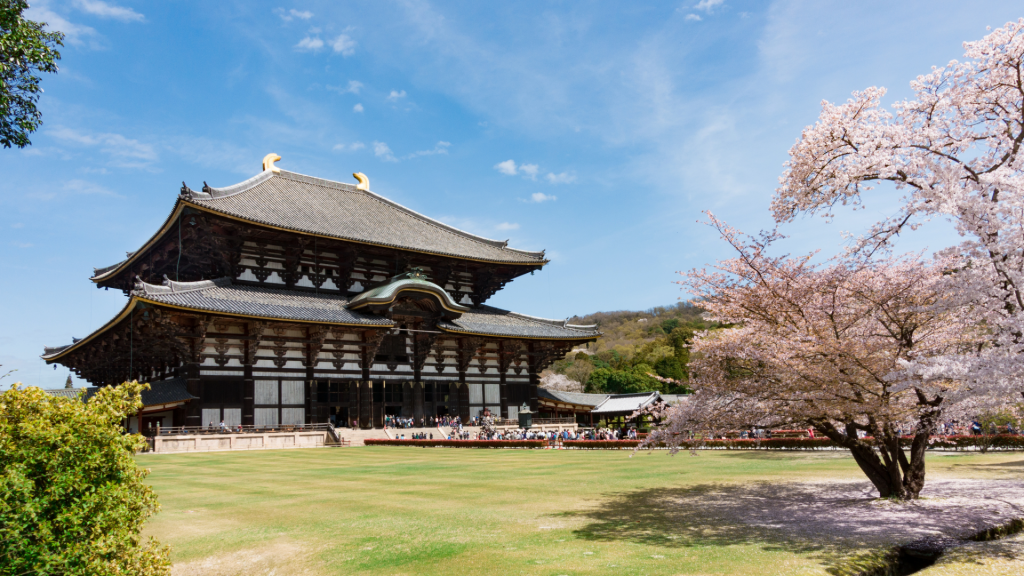 A MAGIA DAS CEREJEIRAS: O MELHOR DO JAPÃO
