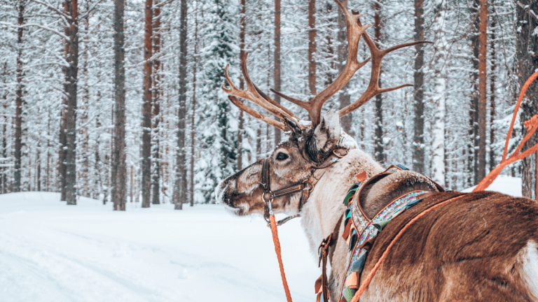 Rovaniemi