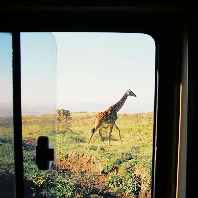 safári de luxo na África