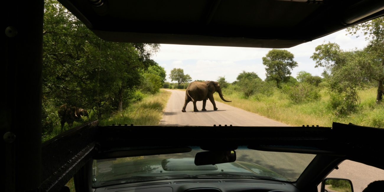 safári de luxo na África