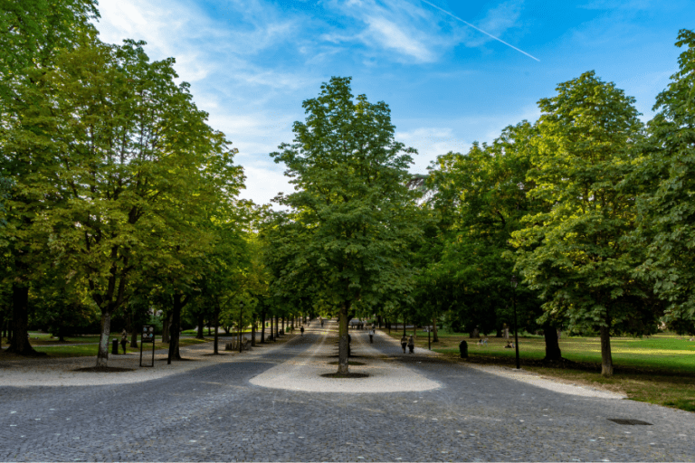 Como aproveitar o melhor da Suíça