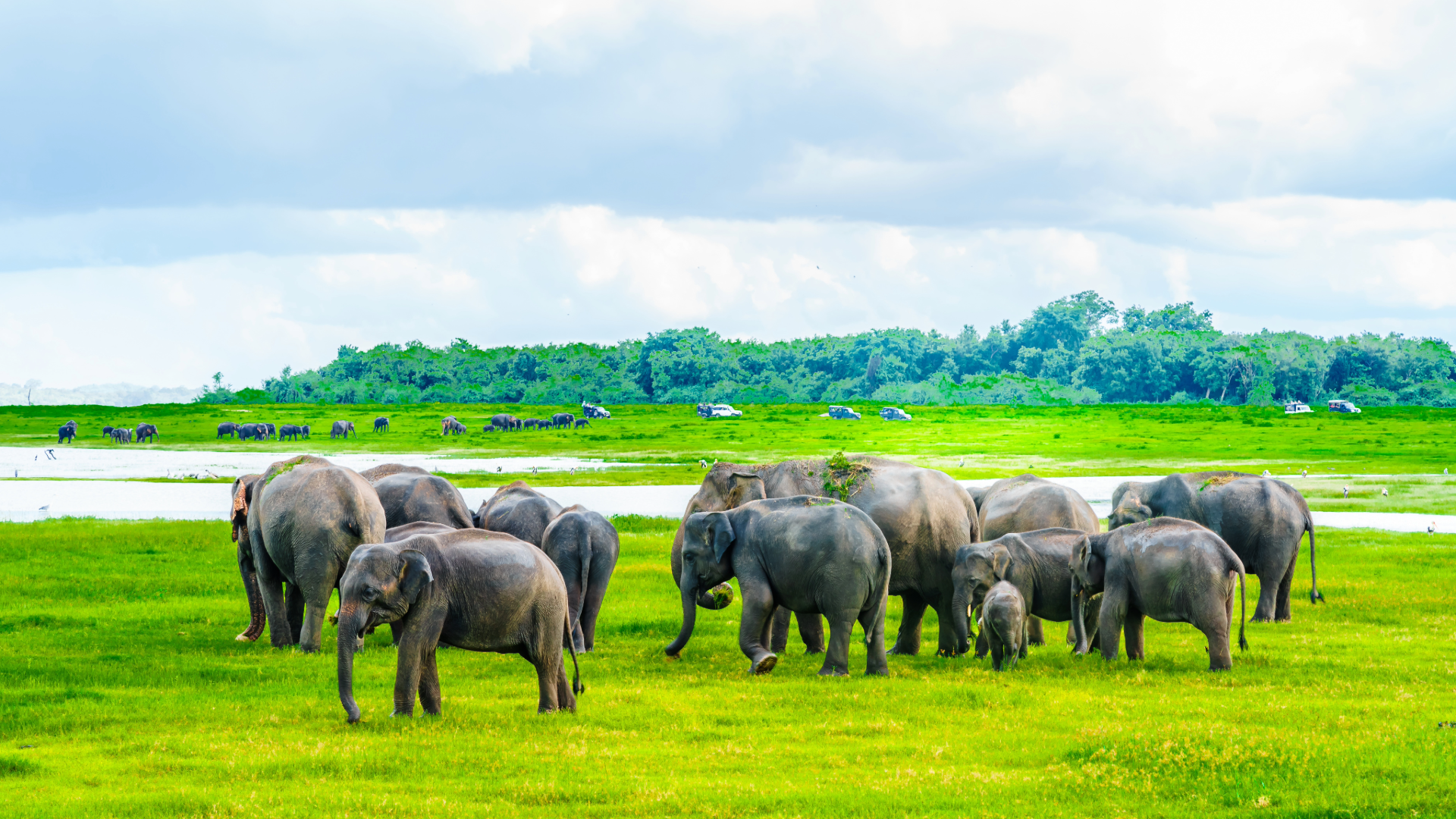 viagem para o Sri Lanka