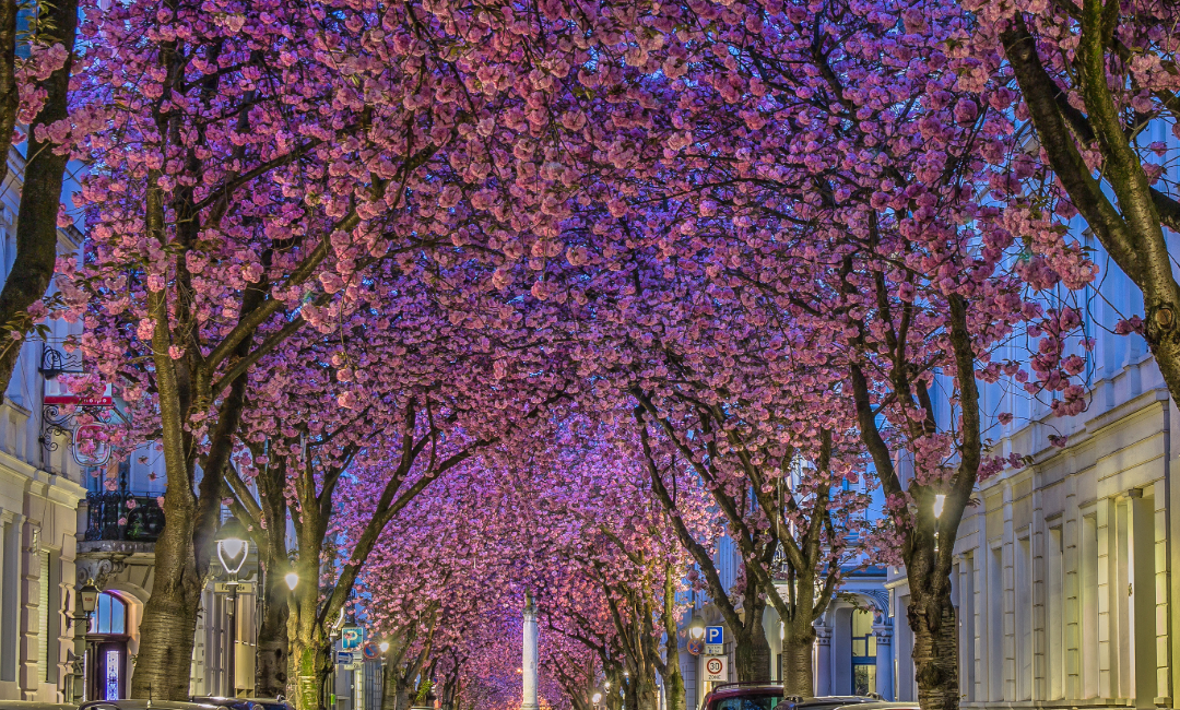 melhor época para viajar para a Alemanha