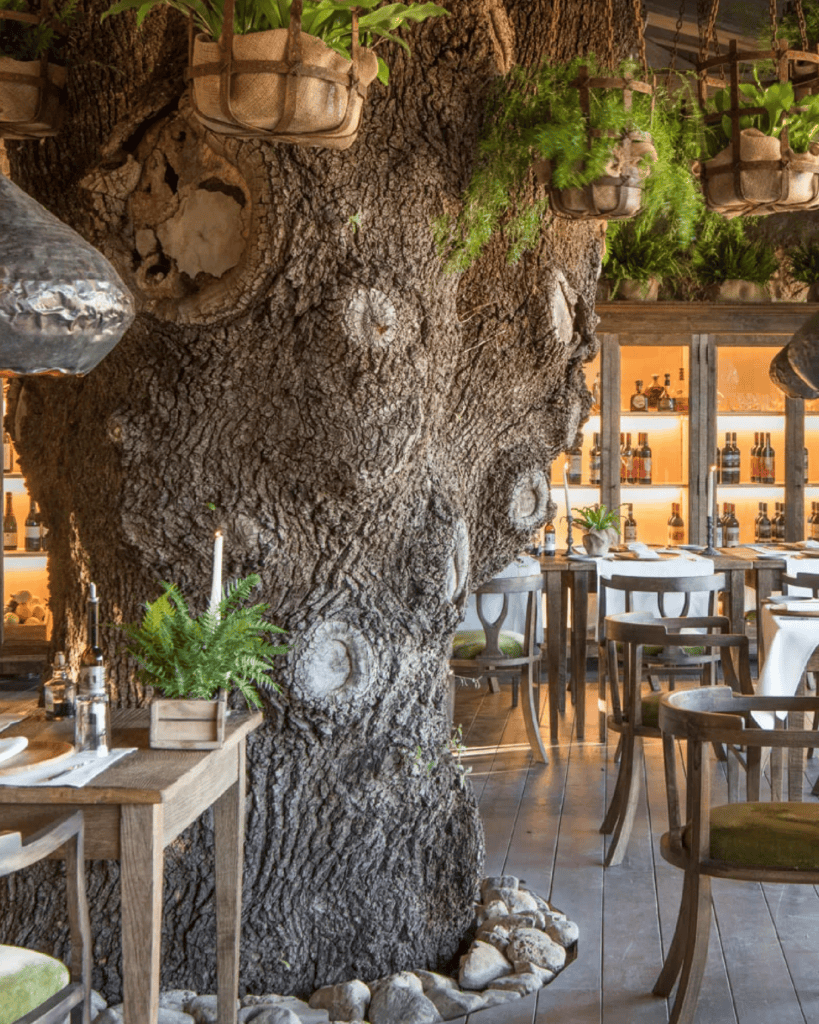 Borgo Santo Pietro na Toscana