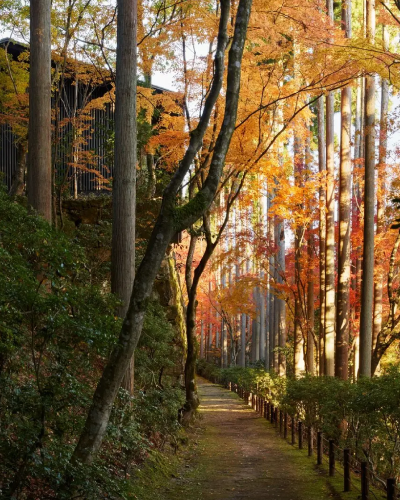 Aman Kyoto cercado pela natureza