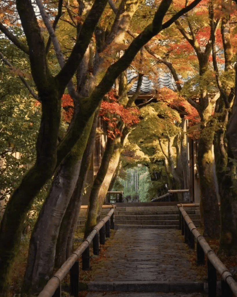 Aman Kyoto cercado pela natureza
