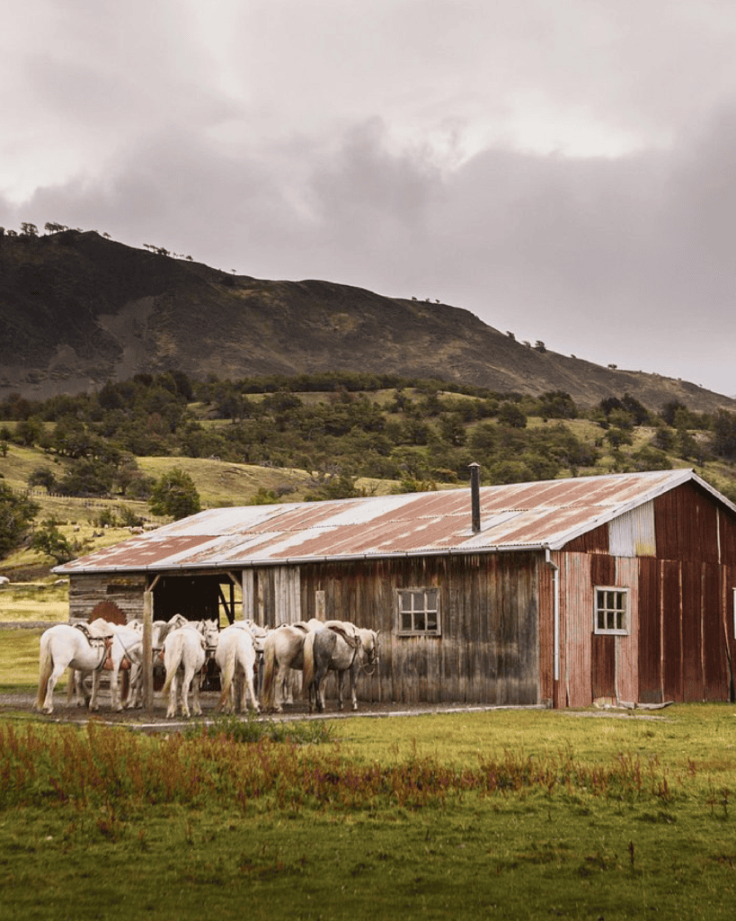 The Singular Patagonia no Chile